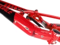 DSC07798.jpg